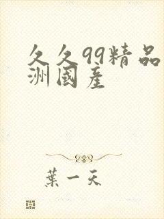 久久99精品亚洲国产封面