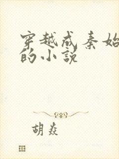 穿越成秦始皇帝的小说封面