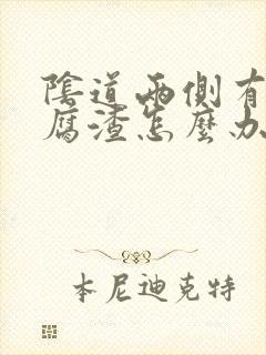 阴道两侧有像豆腐渣怎么办