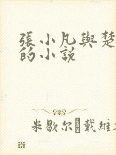 张小凡与楚清璇的小说封面