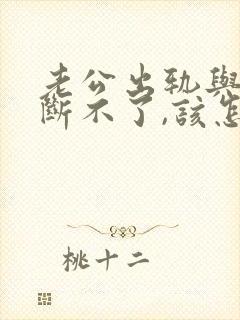 老公出轨与小三断不了,该怎么处理