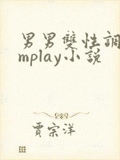 男男双性调教smplay小说封面