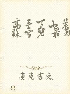 高手下山叶君临苏雪儿 最新章节