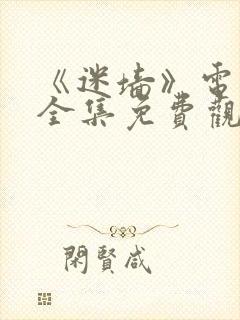 《迷墙》电视剧全集免费观看封面