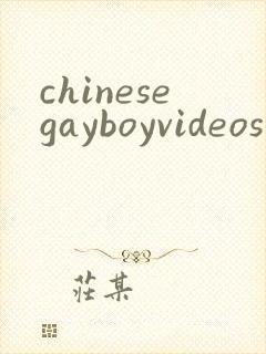 chinesegayboyvideos