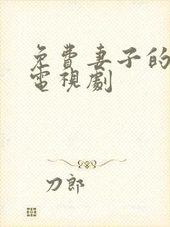 免费妻子的谎言电视剧