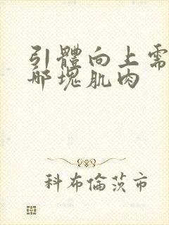 引体向上需要练哪块肌肉