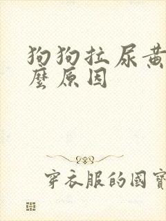 狗狗拉尿黄是什么原因