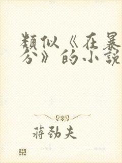 类似《在暴雪时分》的小说封面