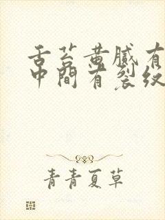 舌苔黄腻有齿痕中间有裂纹