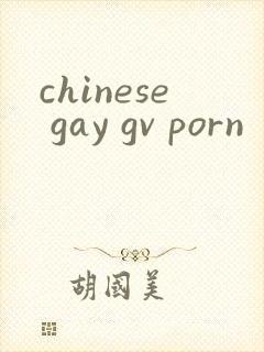 chinese gay gv porn