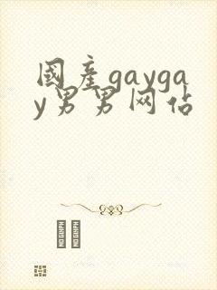国产gaygay男男网站