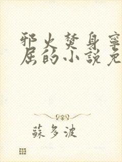 邪火焚身宁死不屈的小说免费阅读