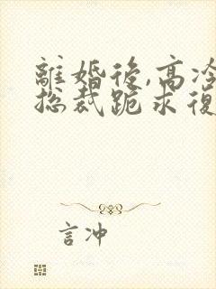 离婚后,高冷女总裁跪求复婚有声小说