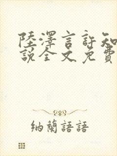 陆泽言许知夏小说全文免费观看