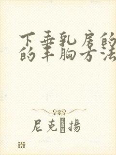 下垂乳房的比较的丰胸方法封面