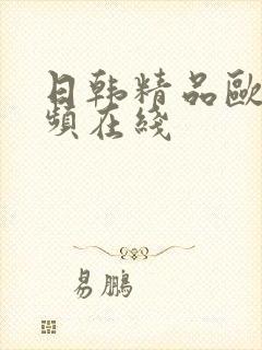 日韩精品欧美视频在线