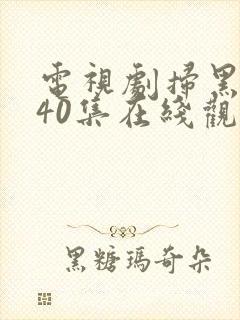 电视剧扫黑风暴40集在线观看免费完整版