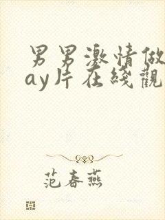 男男激情做爰gay片在线观看