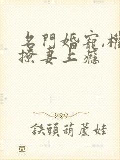 名门婚宠,权少撩妻上瘾