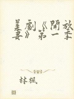 美剧《开放式夫妻》第一季完整版