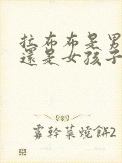 拉布布是男孩子还是女孩子