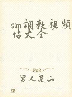 sm调教视频网站大全