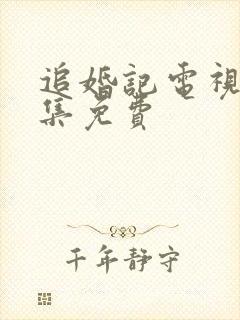 追婚记电视剧全集免费封面