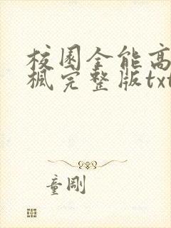 校园全能高手季枫完整版txt下载