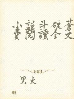 小说斗破苍穹免费阅读全文无窗口