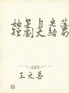 她是月光落我心短剧大结局