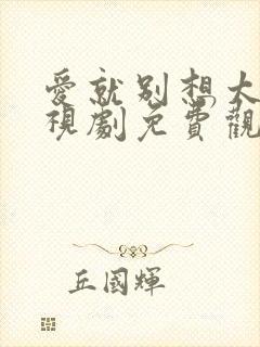 爱就别想太多电视剧免费观看全集封面