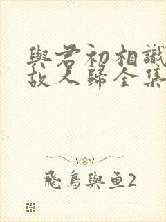 与君初相识恰似故人归全集免费观看