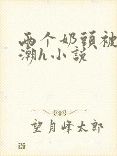 两个奶头被捏高潮h小说