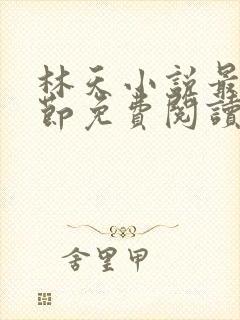 林天小说最新章节免费阅读全文封面