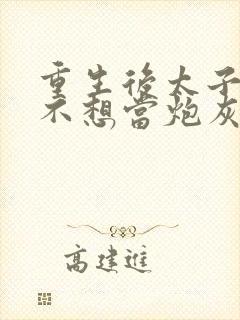 重生后太子妃她不想当炮灰小说封面