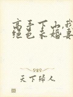 高手下山,我的绝色未婚妻txt封面