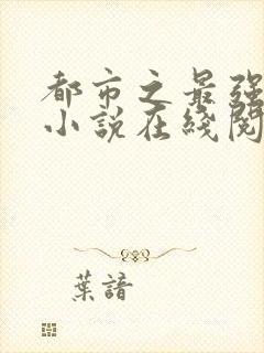 都市之最强狂兵小说在线阅读全文免费