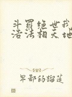 斗罗绝世我霍雨浩法相天地