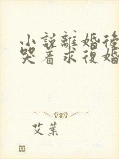 小说离婚后前夫哭着求复婚全篇