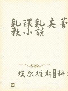 乳环乳夹蒂环调教小说