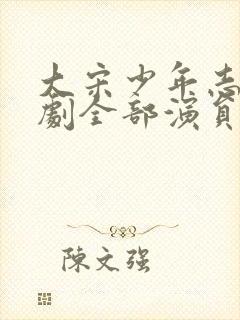 大宋少年志电视剧全部演员表封面