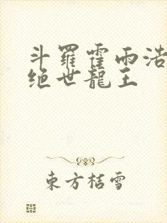 斗罗霍雨浩双穿绝世龙王