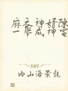 麻衣神婿陈黄皮一举成神电子书
