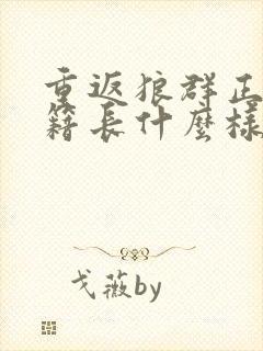 重返狼群正版书籍长什么样