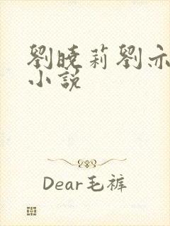 刘晓莉刘亦菲的小说