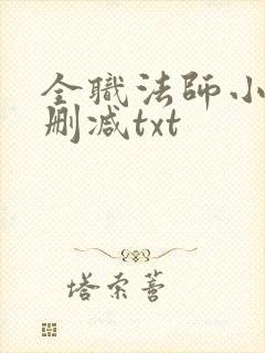 全职法师小说无删减txt