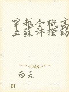 穿越全职高手爱上苏沐橙的小说