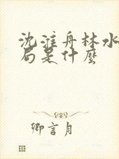 沈淮舟林水伊结局是什么