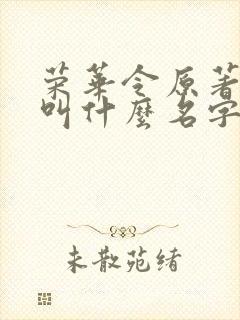 荣华令原著小说叫什么名字来着